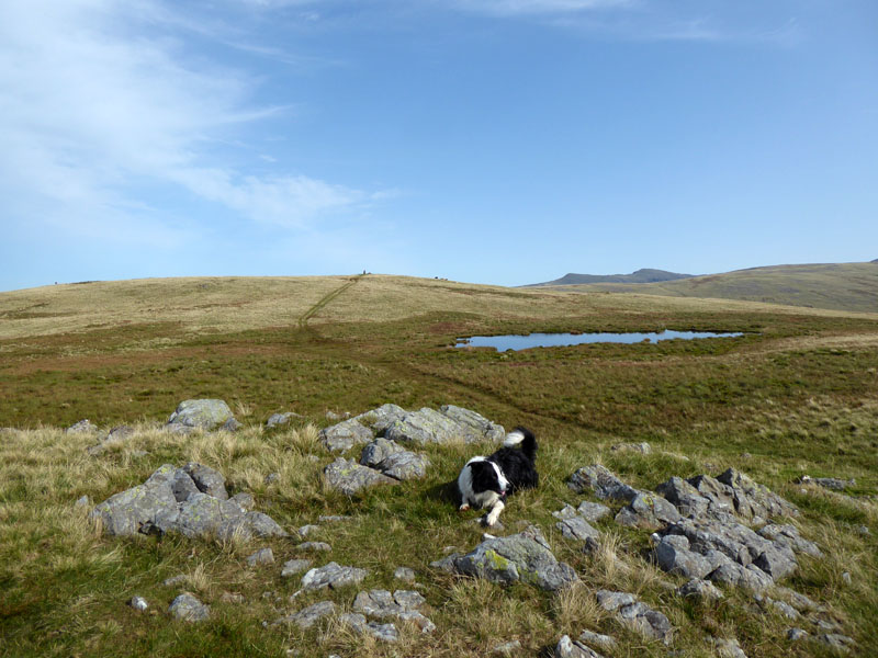 Lank Rigg tarn